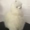 Alpaca Miniature Figure