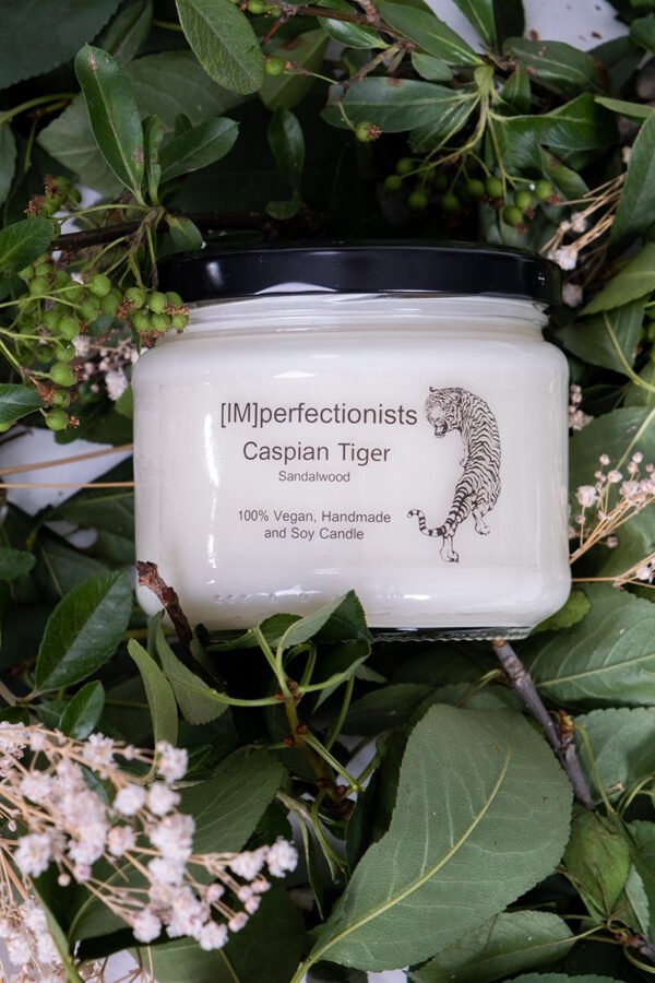 Caspian Tiger Soy Candle & Hand Cream