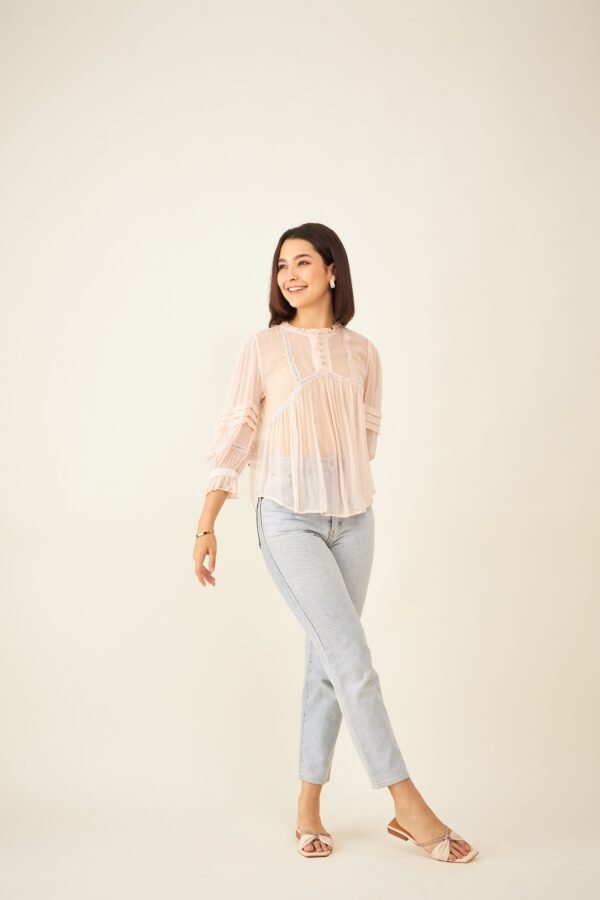 Sheer Ruffle Pink Top